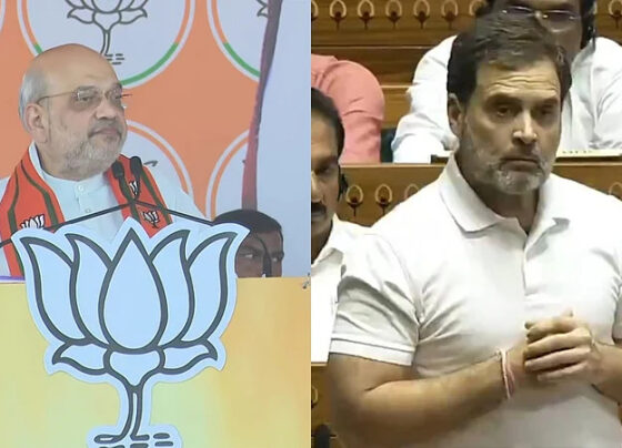 amit shah slams rahul gandhi