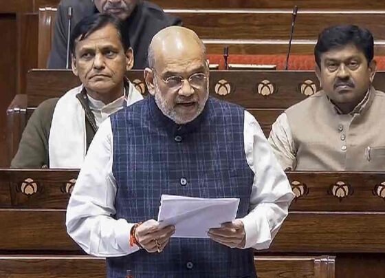 amit shah in parliament the democratic hindu