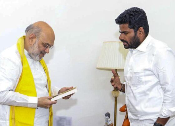 annamalai with amit shah