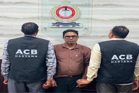 acb haryana
