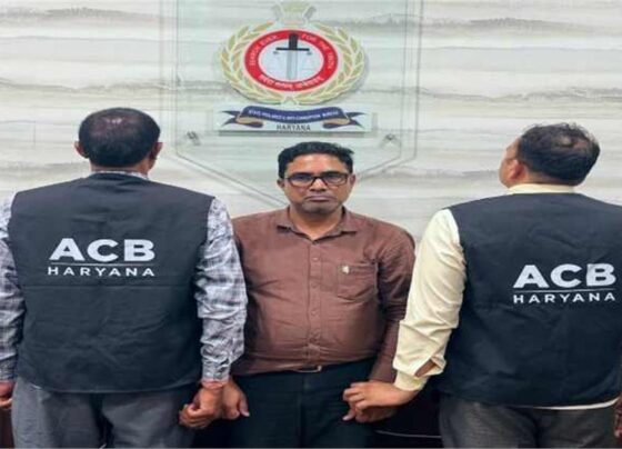 acb haryana