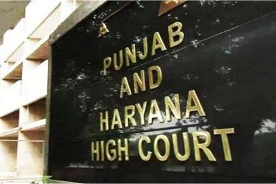 punjabharyanahighcourt