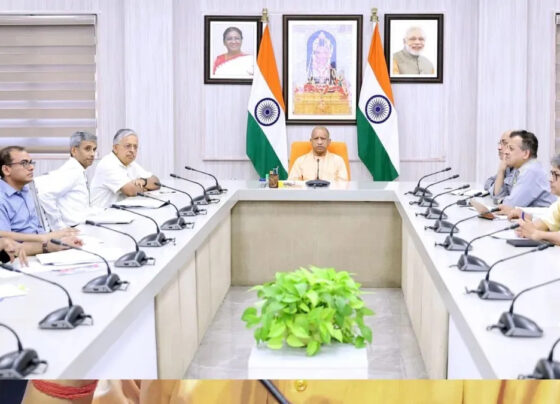 cm yogi youth focus