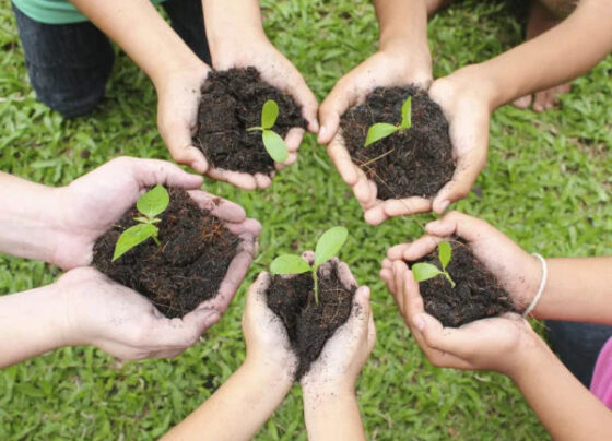 delhi plantation drive