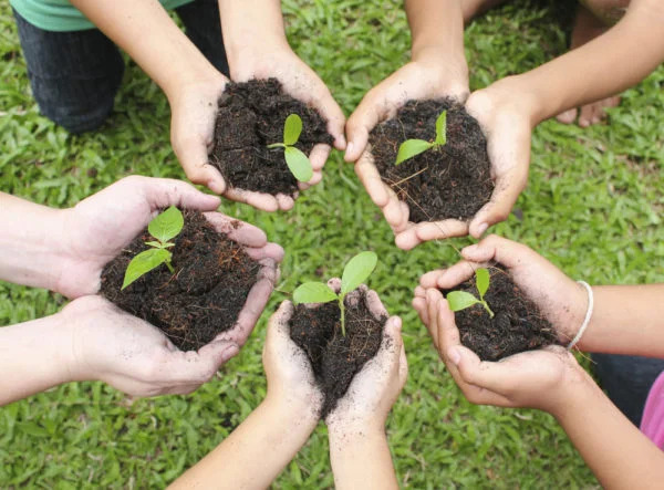 delhi plantation drive